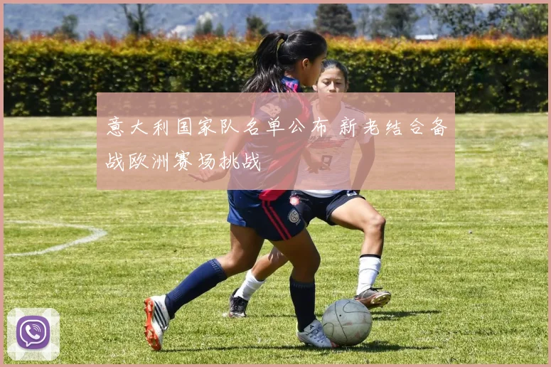 意大利国家队名单公布 新老结合备战欧洲赛场挑战