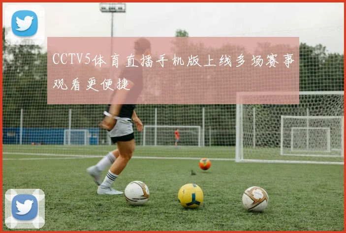 CCTV5体育直播手机版上线多场赛事观看更便捷