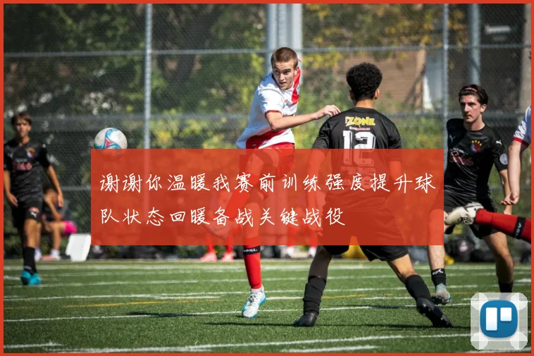 谢谢你温暖我赛前训练强度提升球队状态回暖备战关键战役